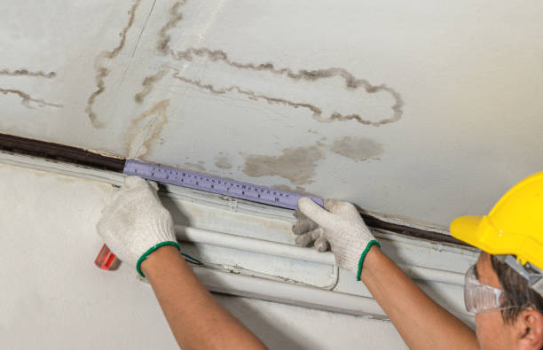 Reliable Water Damage contractor in Newton, UT by Water Damage Irwin